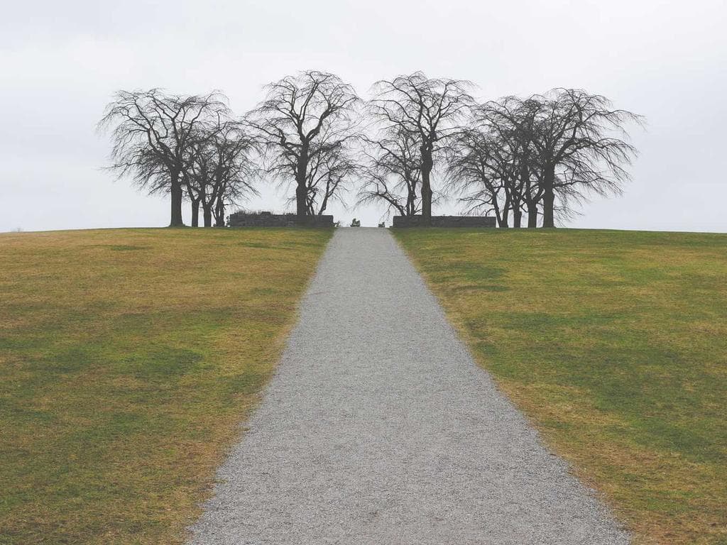 Trial of a New Topical Treatment for Atopic Dermatitis (Eczema)